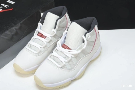 TINT JORDAN 378037-016 AIR 11 PLATINUM 0710